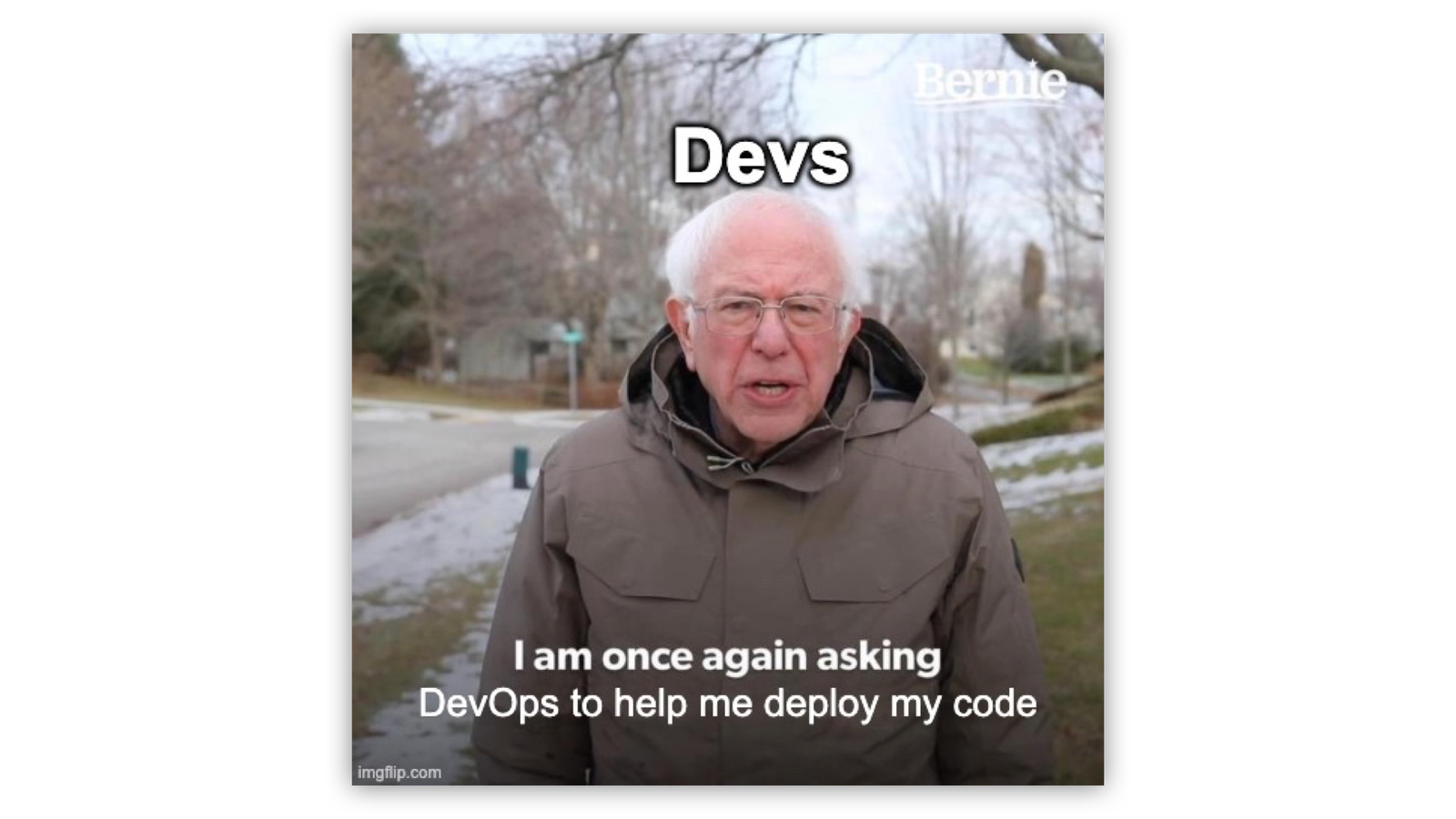 bernie dev